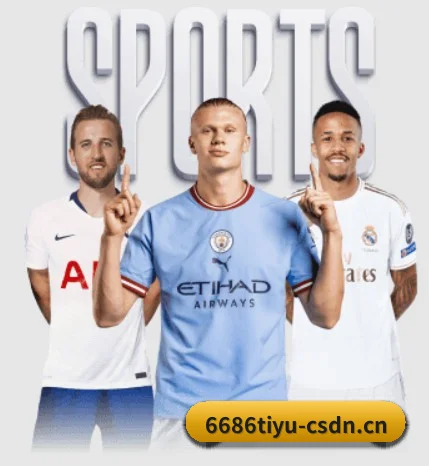 全景赛事版块覆盖,从极速推送至深度解构(6686Sports)